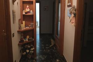 5 vani libero subito