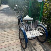 Triciclo per adulti