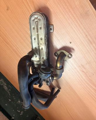 EGR Volkswagen / Audi.