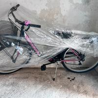 Biciclette di varie misure