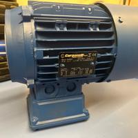 Motore Elettrico Trifase Carpanelli 1.5kW confreno