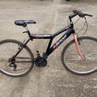 MTB taglia medio-grande
