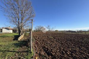 TER. AGRICOLO A PIOSSASCO