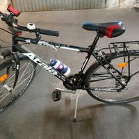 Bicicletta da passeggio