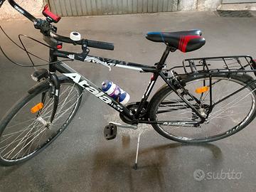 Bicicletta da passeggio