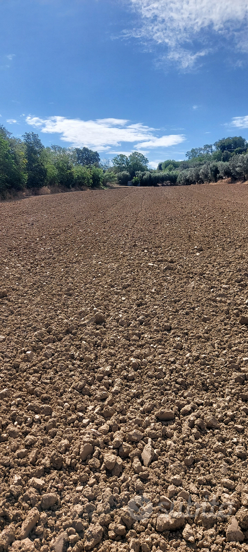 Terreno agricolo - Vista 3