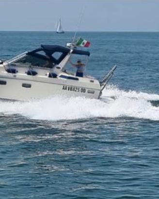 Vizianello 34