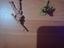 Immagine 1