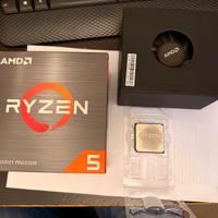 AMD Ryzen 5 5500 nuovo