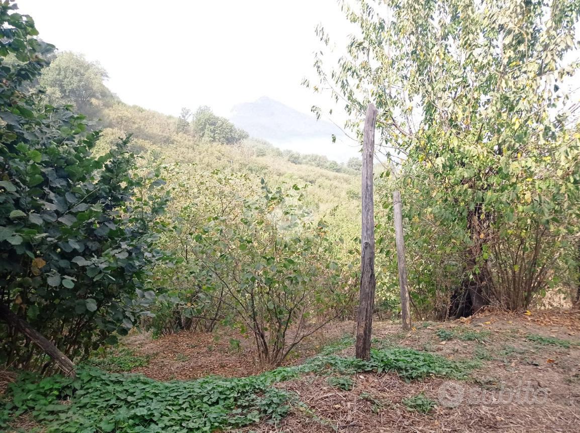 TER. AGRICOLO A AIELLO DEL SABATO - Vista 2