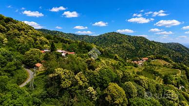 TER. AGRICOLO A BRONDELLO