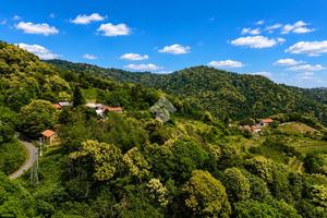 TER. AGRICOLO A BRONDELLO