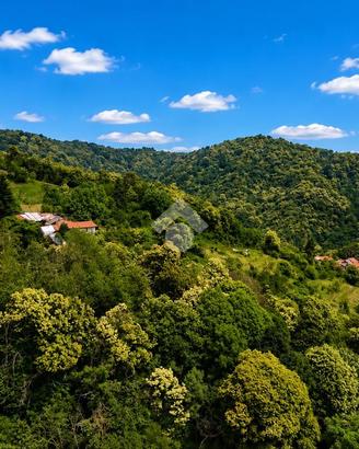 TER. AGRICOLO A BRONDELLO