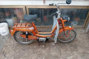 cimatti chic 50