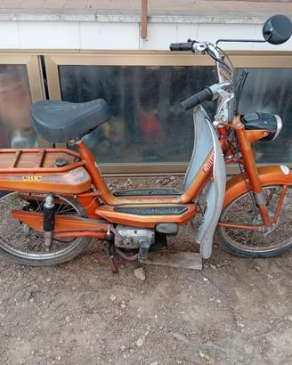 cimatti chic 50