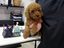 Immagine 28