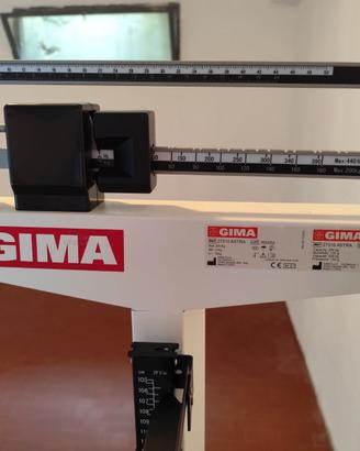 Bilancia professionale