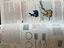Immagine 5