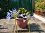 Immagine 8