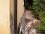 Immagine 7