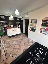 Toelettatura professionale