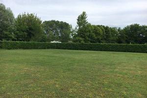 Rif.730--| terreno agricolo cavallino treporti