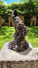 struttura per ishizuki bonsai