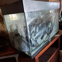 acquario 100 L con ossigenatore 