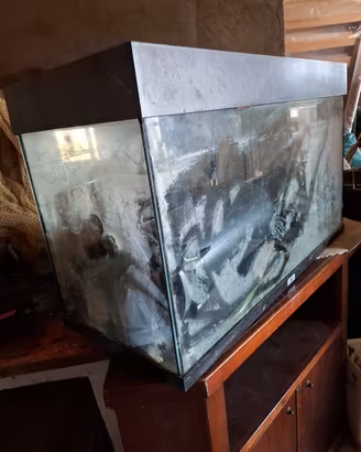 acquario 100 L con ossigenatore 