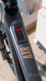 Whistle AXR C8.6