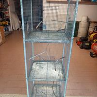 Gabbia tre vani uccelli