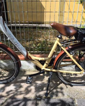 Bici elettrica pedalata assistita 6V