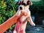 Immagine 1