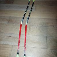 Bastoncini leki Gs 100 cm