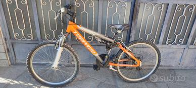 Bici Mtb