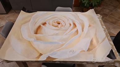 Stampa rosa bianca senza cornice