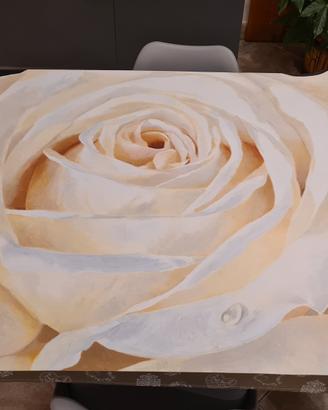 Stampa rosa bianca senza cornice