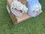 Immagine 1