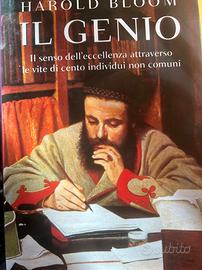 Libro vintage "Il genio"