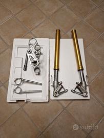 forcella avantreno completo S1000RR 2010 2014
