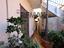 Immagine 25
