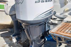 Motore Selva F225BETX - FIN WHALE EFI - Usato