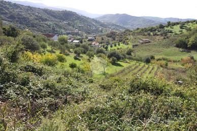 TER. AGRICOLO A AGROPOLI