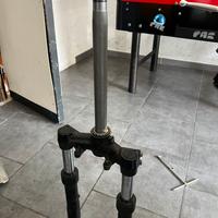 Forcella beverly hpe 2024