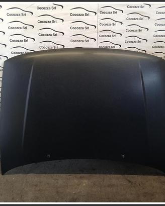 Cofano Motore Anteriore VOLKSWAGEN Polo III 6N0823