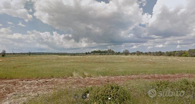 5,5 ha terreno agricolo zona Boncore Torre Lapillo