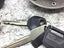 Immagine 3