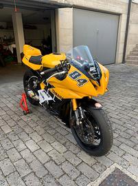 Yamaha R6 anno 2007 solo pista