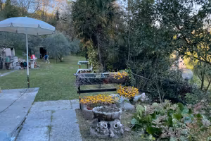 Terreno per eventi