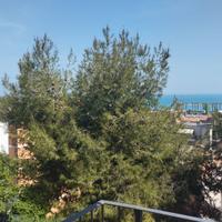 APPARTAMENTO GRANDE E LUMINOSO - Porto Sant'Elp...